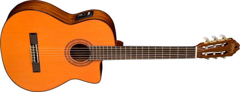 C5CE | Washburn Guitars