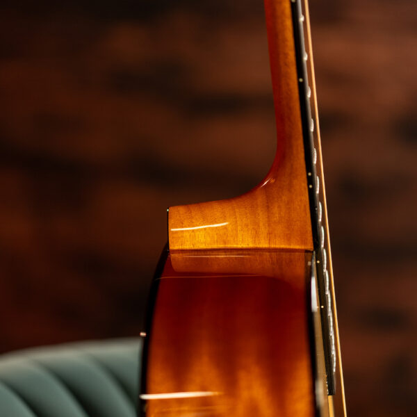 D5 | Washburn Guitars