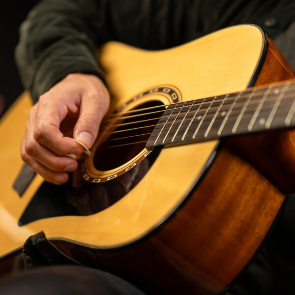 D5 | Washburn Guitars