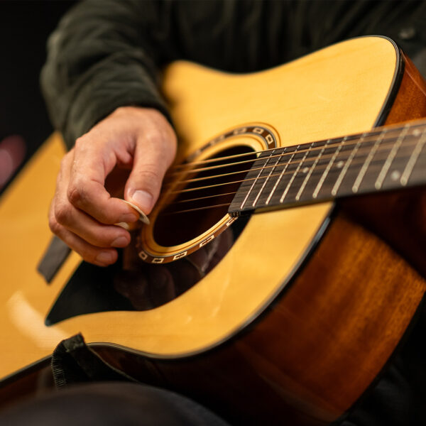 D5 | Washburn Guitars