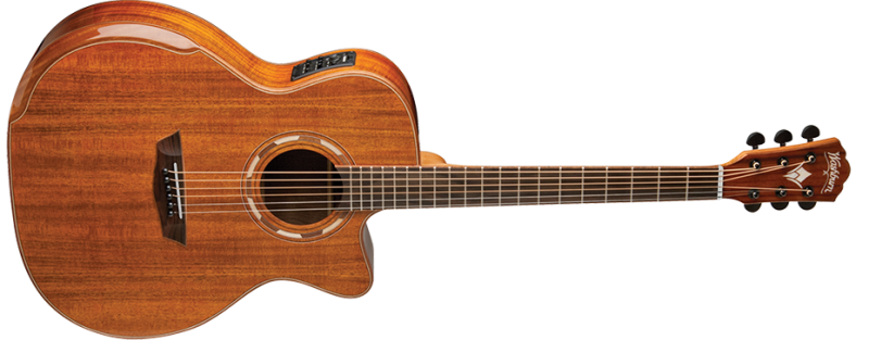 G55CE Koa | Washburn Guitars