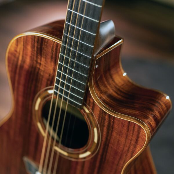 G55CE Koa | Washburn Guitars