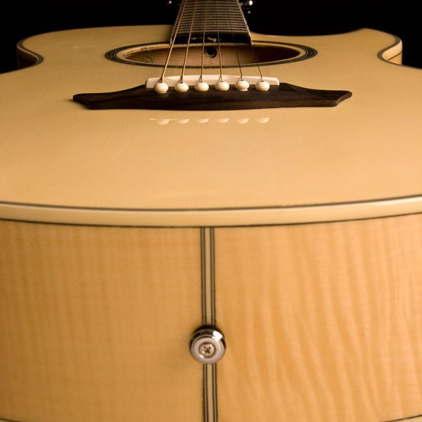 EA20 | Washburn Guitars