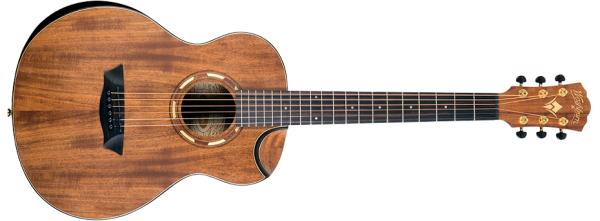 Acoustic Guitars
