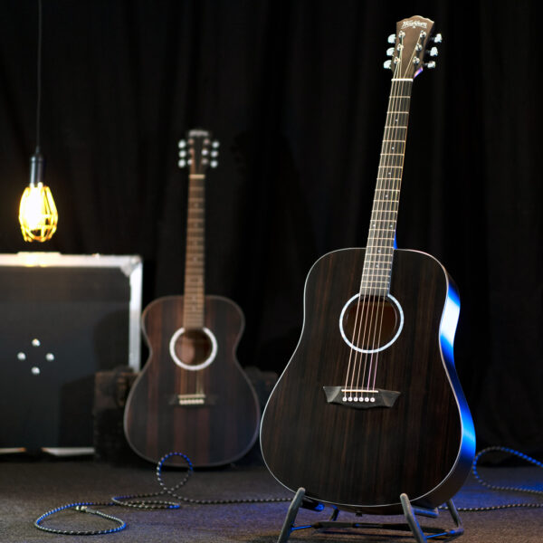 Ebony D | Washburn Guitars