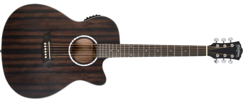 Ebony ACE | Washburn Guitars