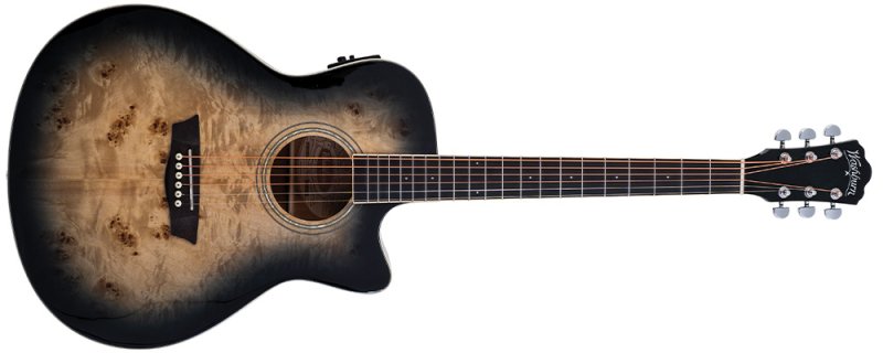 Burl ACE | Washburn Guitars