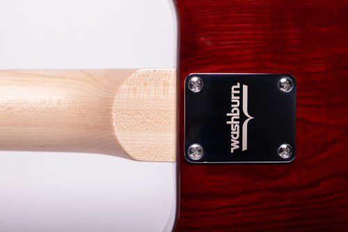 Raven 6-String Electric Guitar