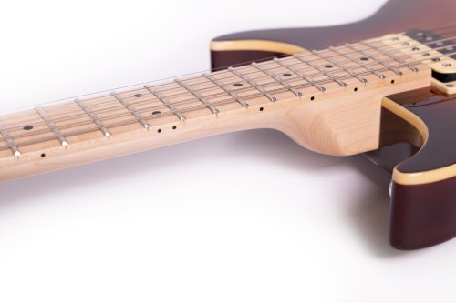 Raven 6-String Electric Guitar