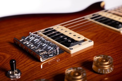 Raven 6-String Electric Guitar