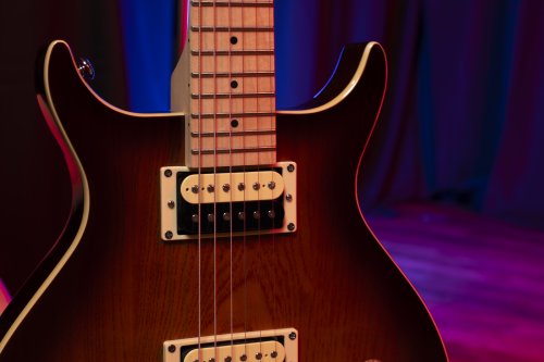 Raven 6-String Electric Guitar