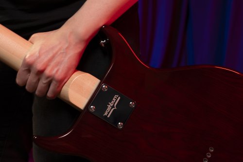 Raven 6-String Electric Guitar