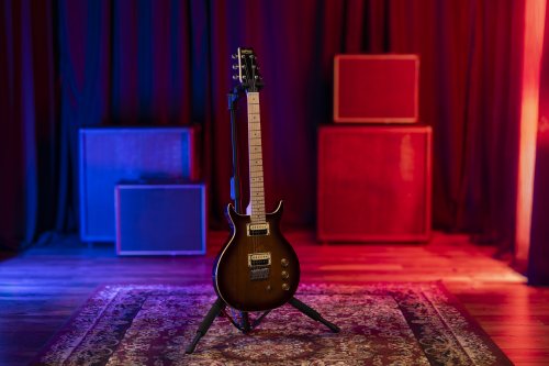 Raven 6-String Electric Guitar