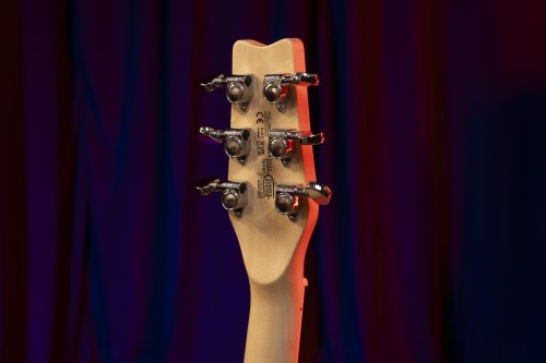 Raven 6-String Electric Guitar