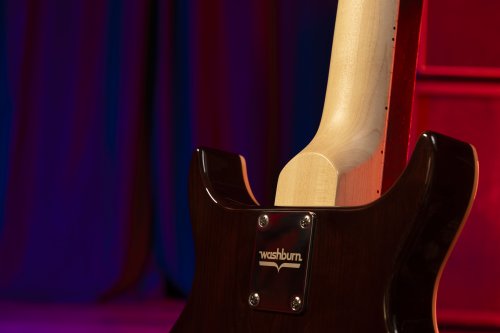 Raven 6-String Electric Guitar