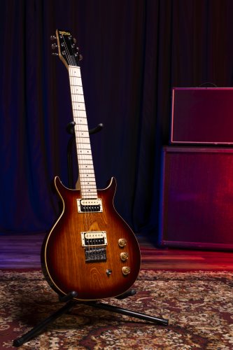 Raven 6-String Electric Guitar