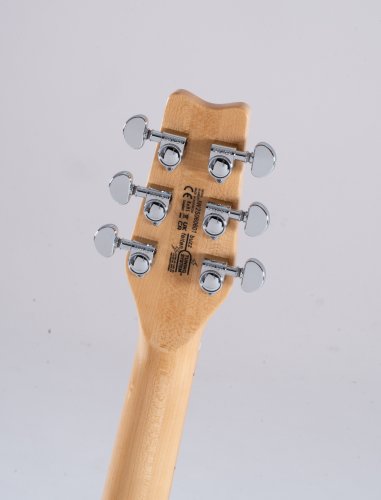 Raven 6-String Electric Guitar