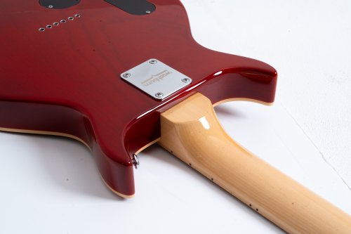 Raven 6-String Electric Guitar
