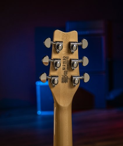 Raven 6-String Electric Guitar
