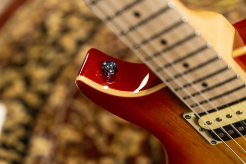 Raven 6-String Electric Guitar