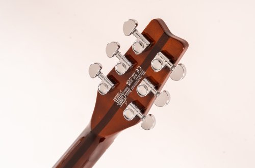 Hawk 6-String Electric Guitar