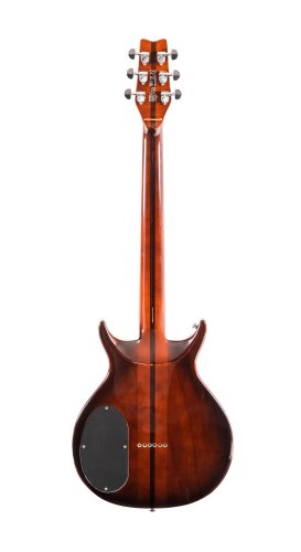 Hawk 6-String Electric Guitar