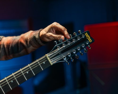 Hawk 12-String Electric Guitar