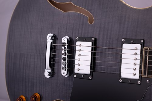 Semi-Hollow 6-String Electric Guitar