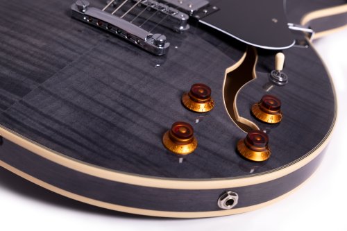 Semi-Hollow 6-String Electric Guitar