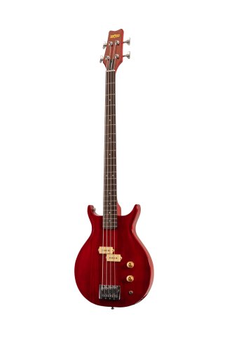 Scavenger Bass