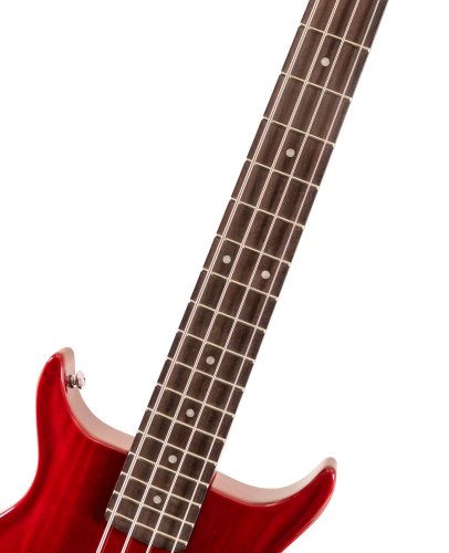 Scavenger Bass