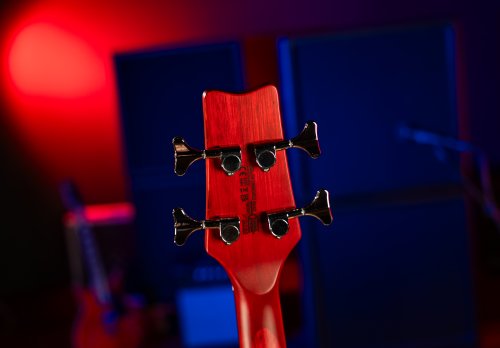 Scavenger Bass