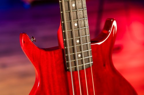 Scavenger Bass