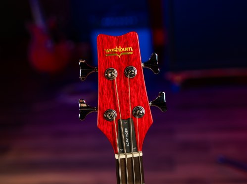 Scavenger Bass