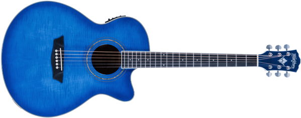 EA15 | Washburn Guitars