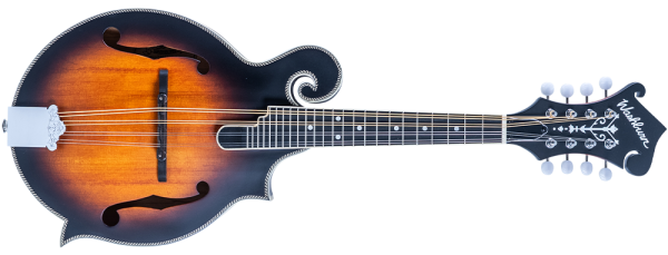 Mandolin