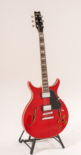 Semi-Hollow 6-String Electric Guitar
