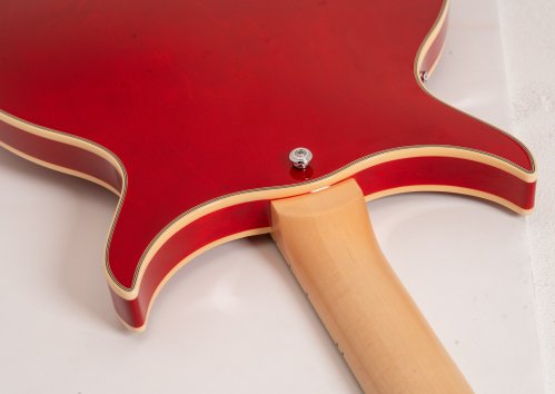 Semi-Hollow 6-String Electric Guitar