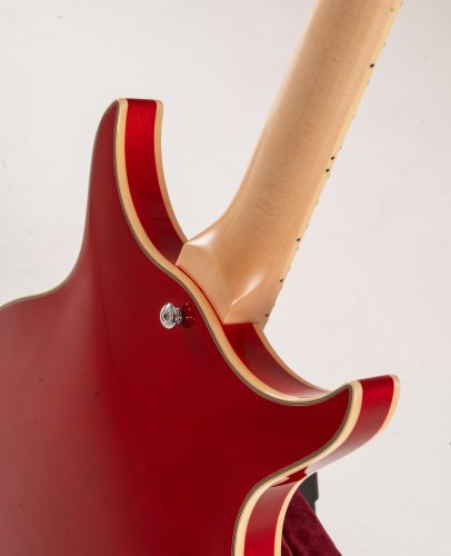 Semi-Hollow 6-String Electric Guitar