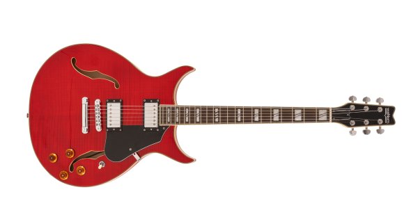 Semi-Hollow 6-String Electric Guitar