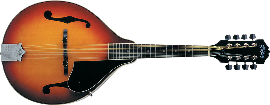 Best mandolin strings for bluegrass cheap