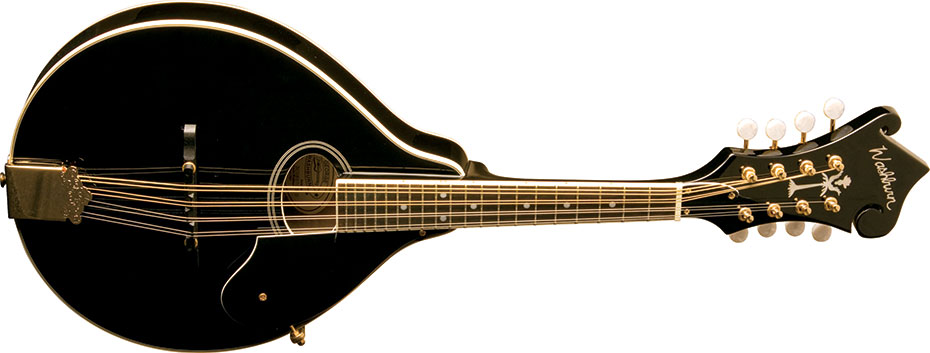 Washburn Guitars