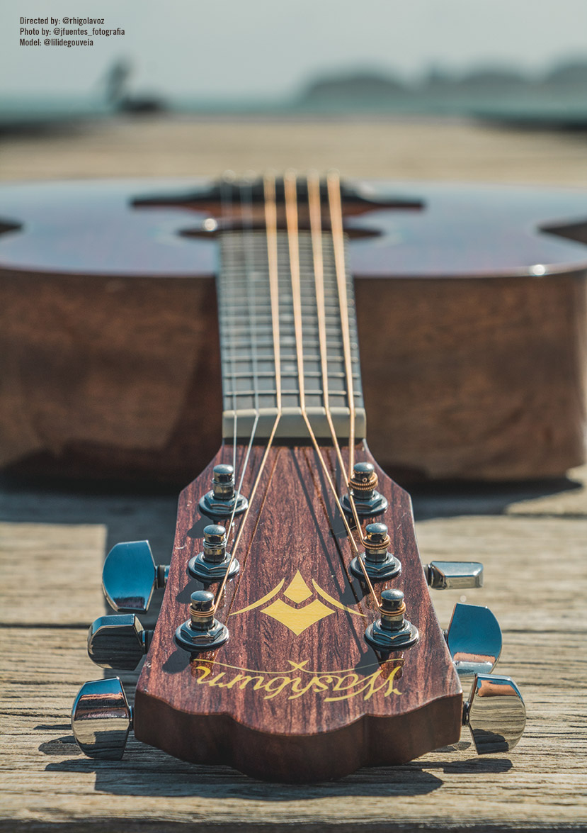 Washburn wlo12se cheap