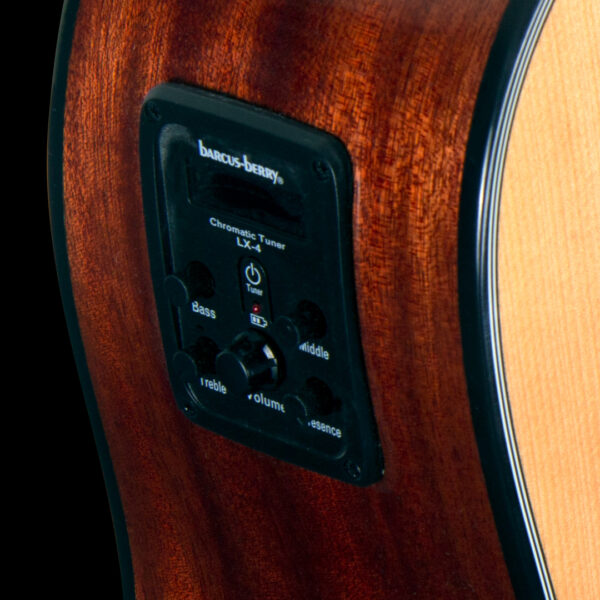 closeup of controls on Washburn guitar