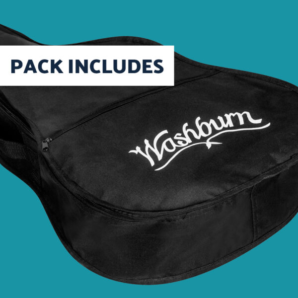 Washburn gig bag