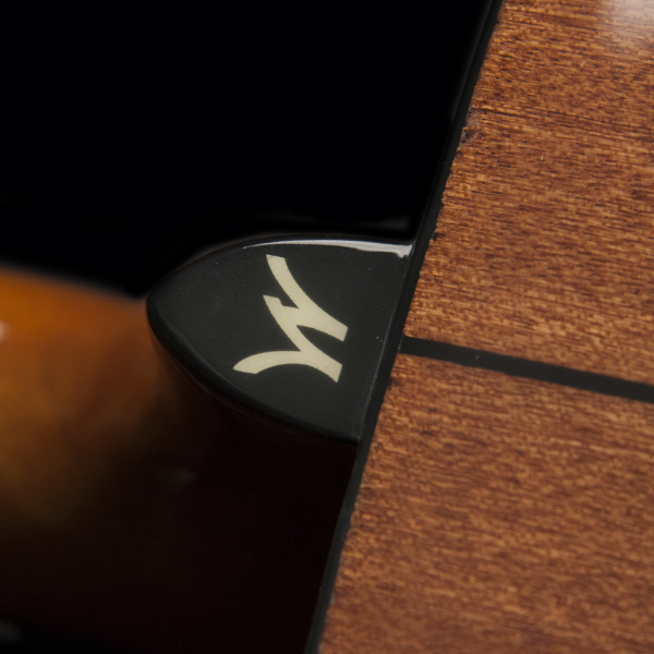 closeup of Washburn W on Washburn acoustic guitar