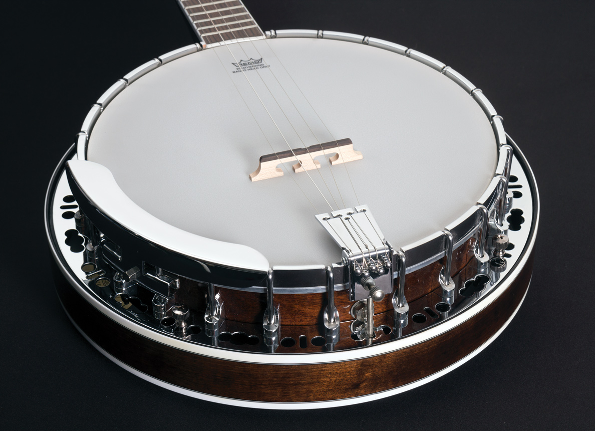 Washburn Guitars