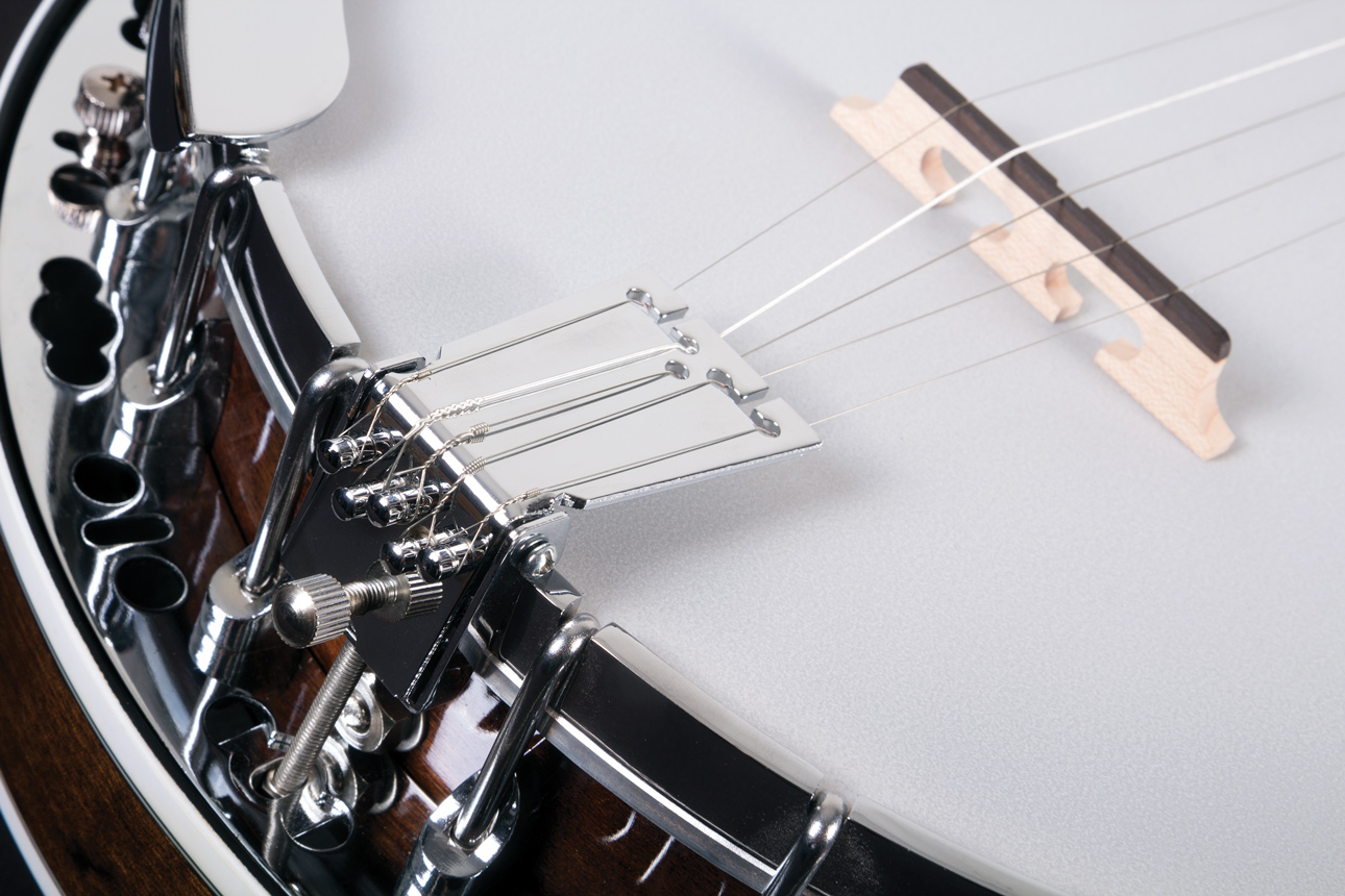 Washburn Guitars