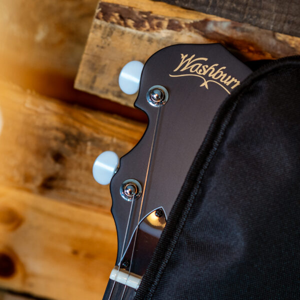 banjo headstock