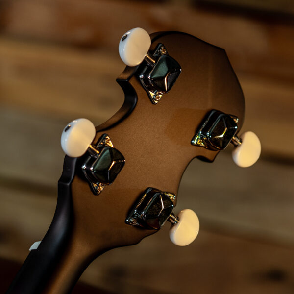 back of banjo headstock